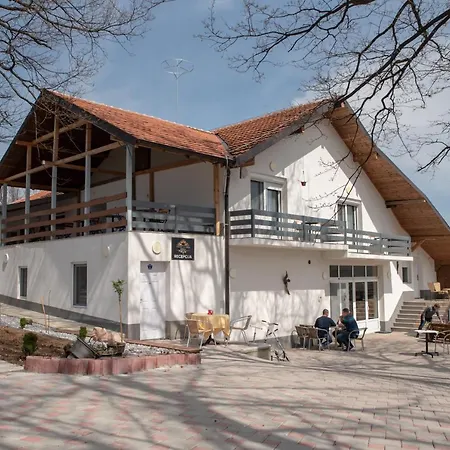 Ljubica Rtanj Boljevac