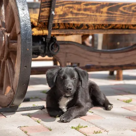 Ljubica Rtanj Hotel apartamentowy 3*
